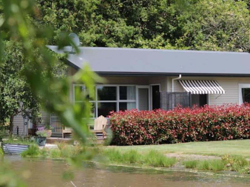 Revive On Oakview Boutique Beauty And Accommodation Ashburton Exterior foto